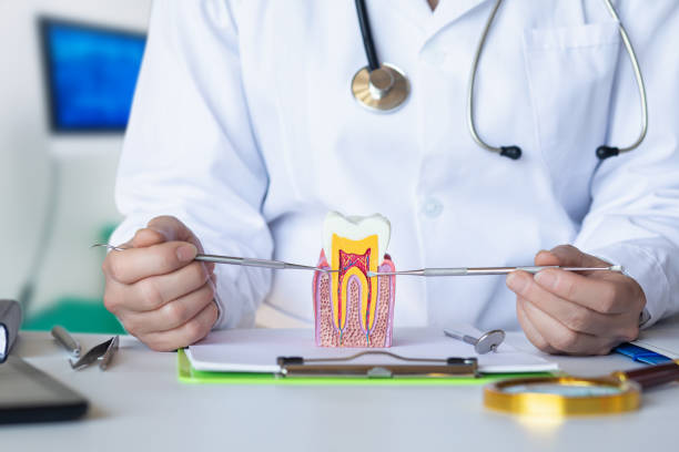 Best Weekend Emergency Dentist in Buchanan, MI
